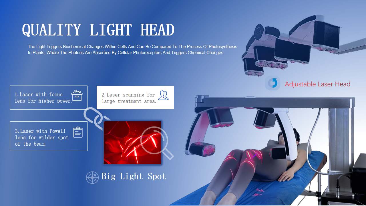 LR02 LuxMaster Physio 4