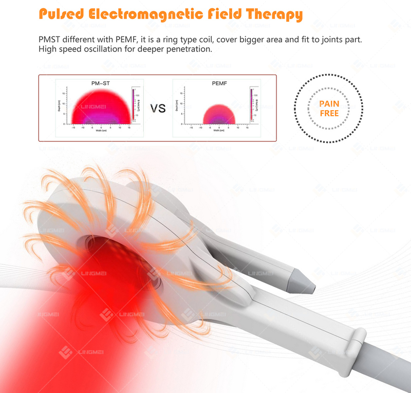 M6F PMST NEO PMFT 10