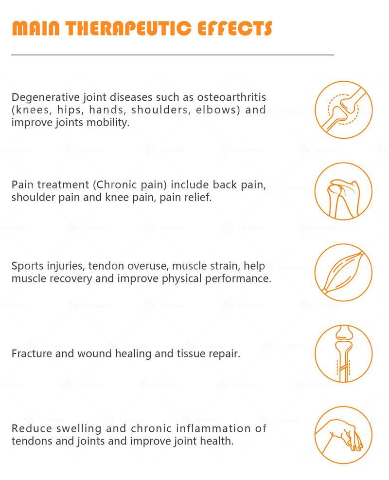 M6F PMST NEO PMFT 11