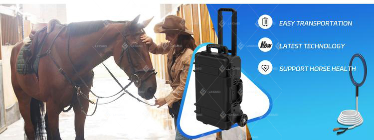 PMST LOOP DUO 8 M6H PMST LOOP HORSE 1