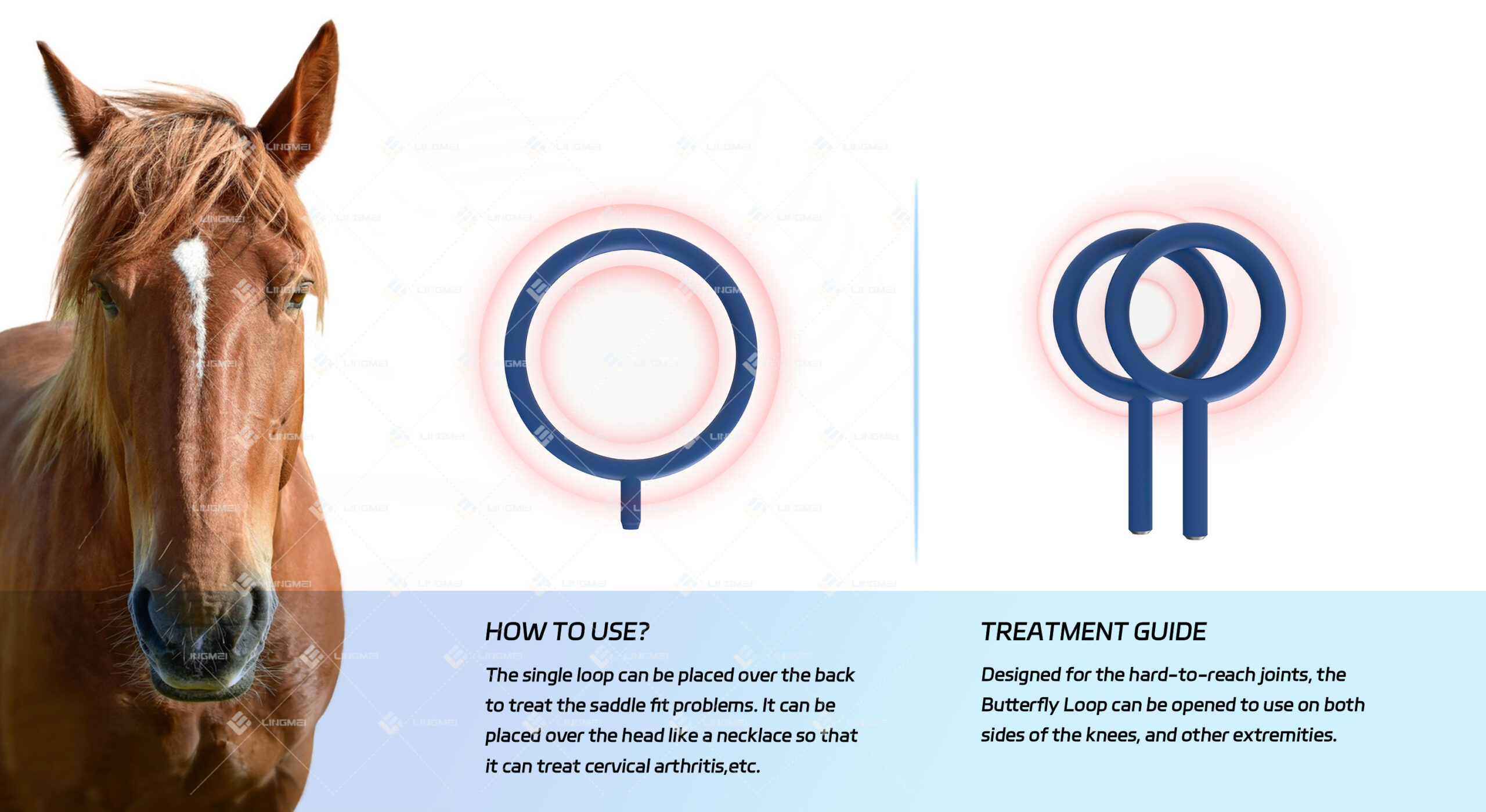 M6L pmst loop horse 5 scaled