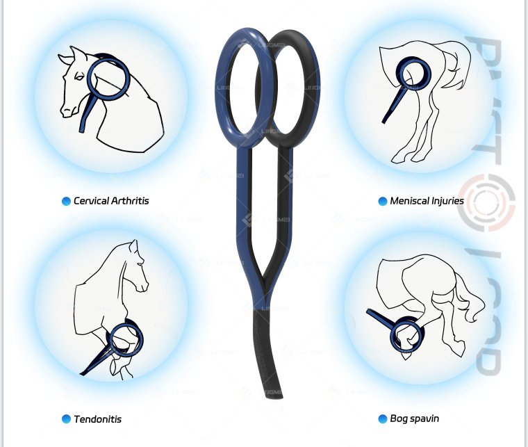 M6L pmst loop horse 6