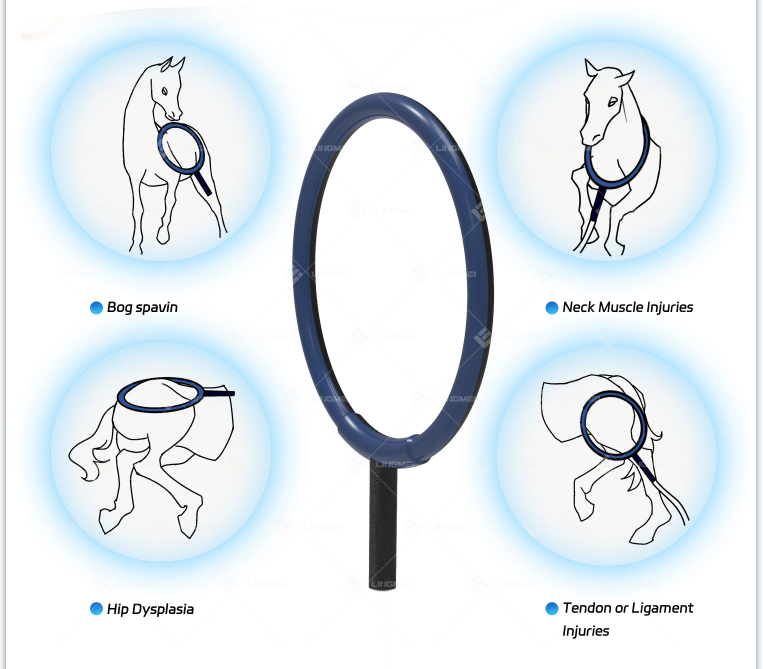 M6L pmst loop horse 7