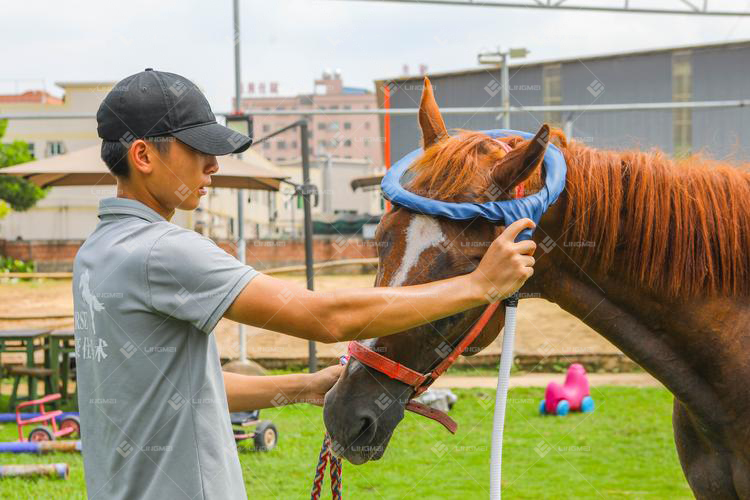 M6L pmst loop horse 8