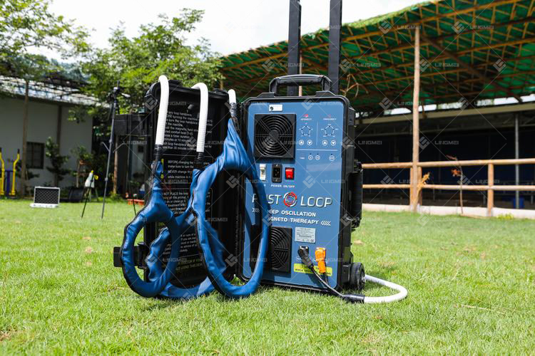 PMST LOOP DUO 18 M6L pmst loop horse C