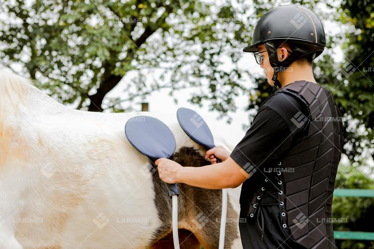 M6M pmst loop pro max 7