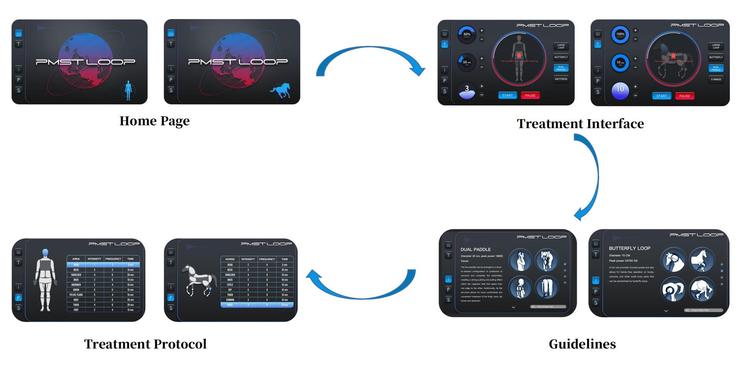M6M pmst loop pro max 9