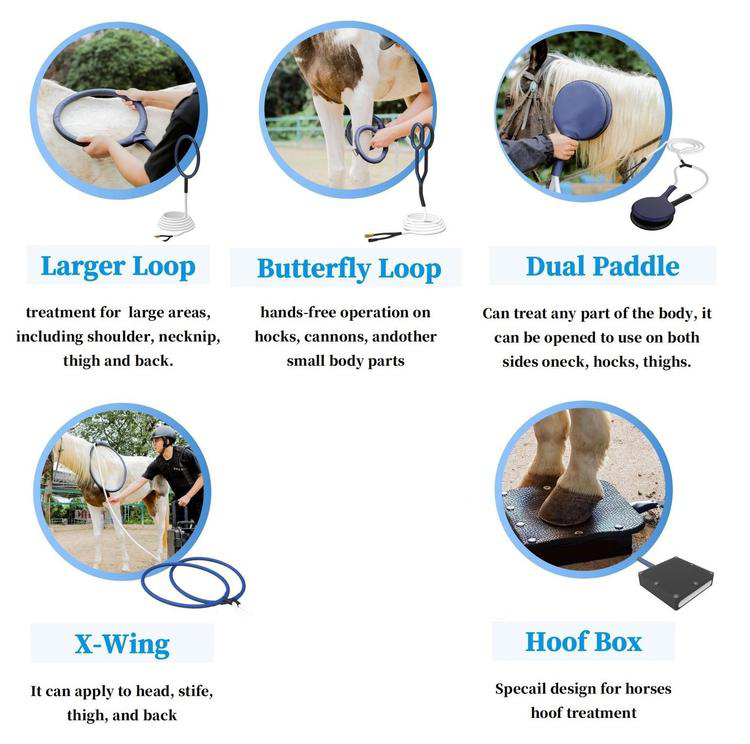 M6M pmst loop pro max D