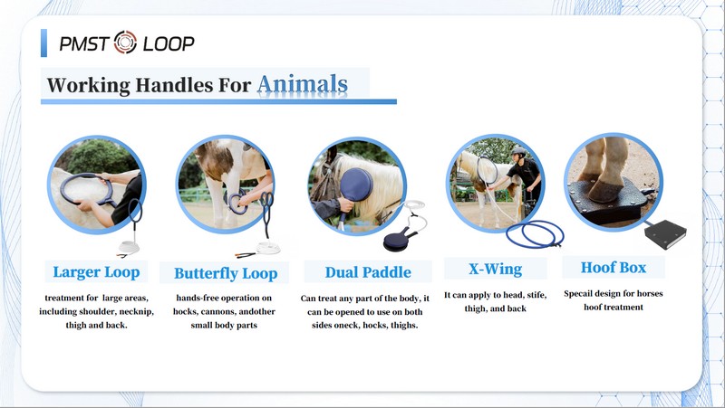 M6M pmst loop pro max I