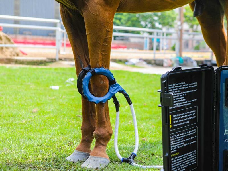 M6U pmst loop duo lite 10