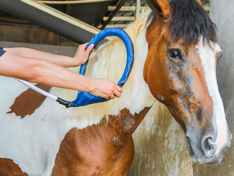 M6U pmst loop duo lite 11