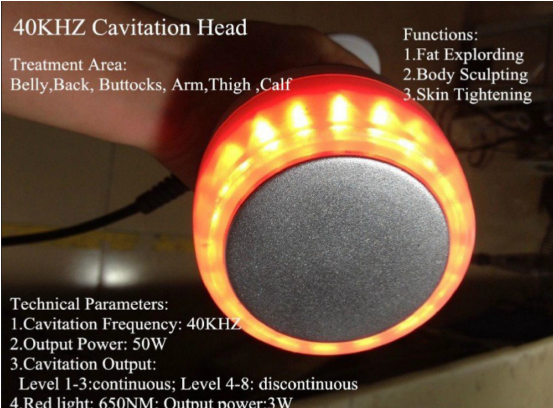 TSL 1113B rollsculpt 8